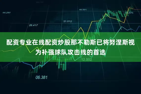 配资专业在线配资炒股那不勒斯已将努涅斯视为补强球队攻击线的首选
